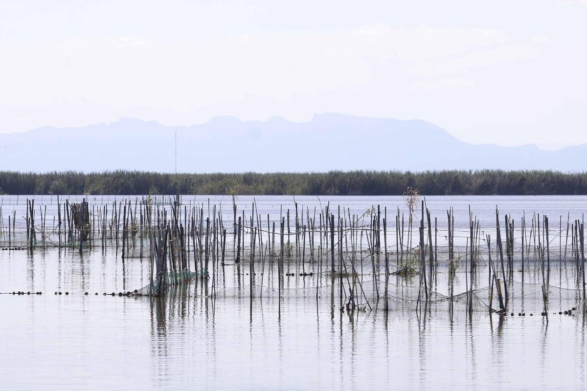 Panorámica del lago de l'Albufera.