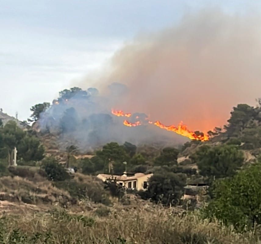 Fuerte incendio forestal en Aigües en una zona llena de chalés y cercana al casco urbano