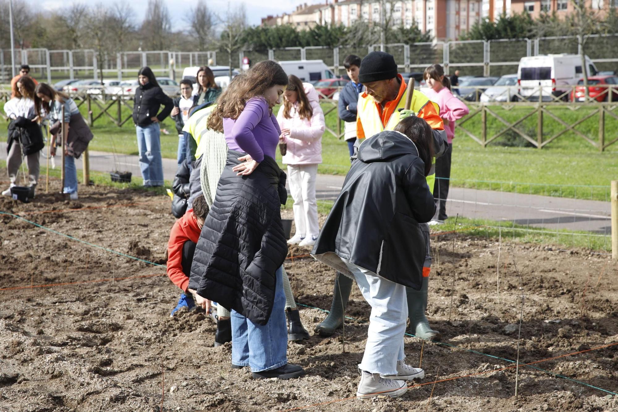 El secretario de Estado Hugo Morán participa en la plantación de minibosques en Gijón (en imágenes)