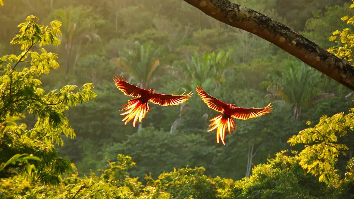 Costa Rica: naturaleza, cultura y sostenibilidad para un turismo responsable