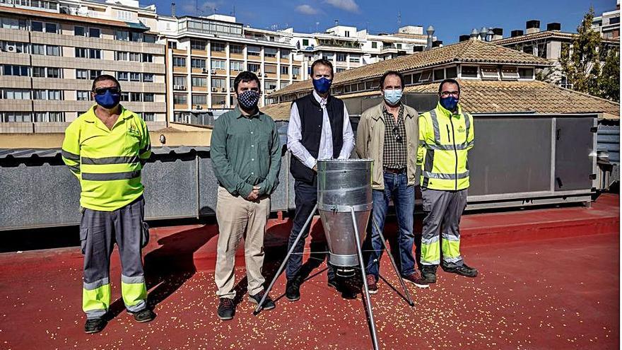 Plagas dispensará el pienso esterilizante para el control de palomas