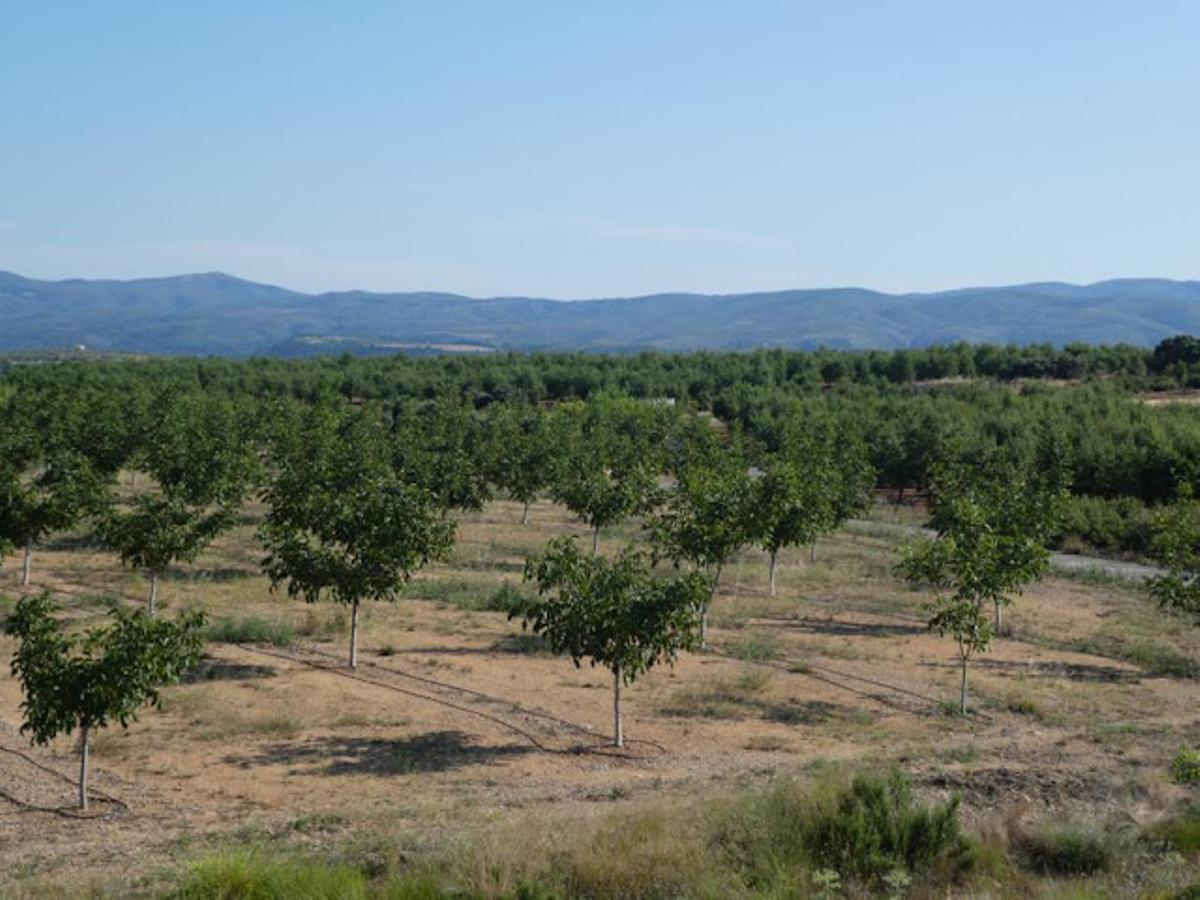 Zona de la Ceradilla, que ha sido intensamente transformada en los últimos años.