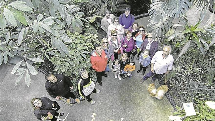 El Día del Árbol realza la riqueza botánica del Parque del Príncipe