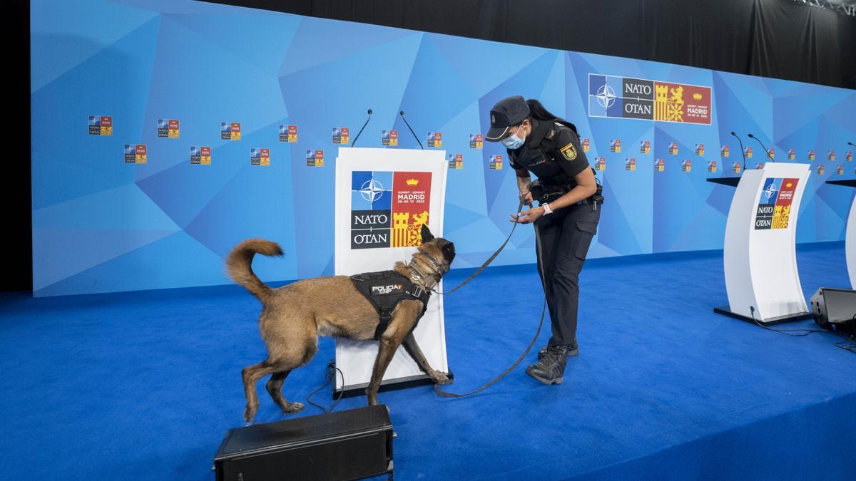 Una agente de Policía Nacional con un perro adiestrado en el dispositivo puesto en marcha para la OTAN, en IFEMA Madrid
