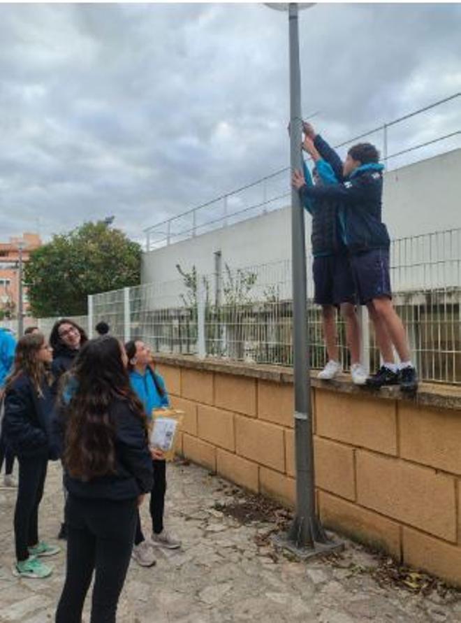 Unos estudiantes realizan un proyecto científico para medir la calidad del aire
