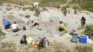 Parte del equipo de paleontólogos del Grupo Aragosaurus-IUCA de la Universidad de Zaragoza trabajando en el yacimiento de Estercuel.