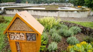 29 de juliol: un dia crític per al planeta