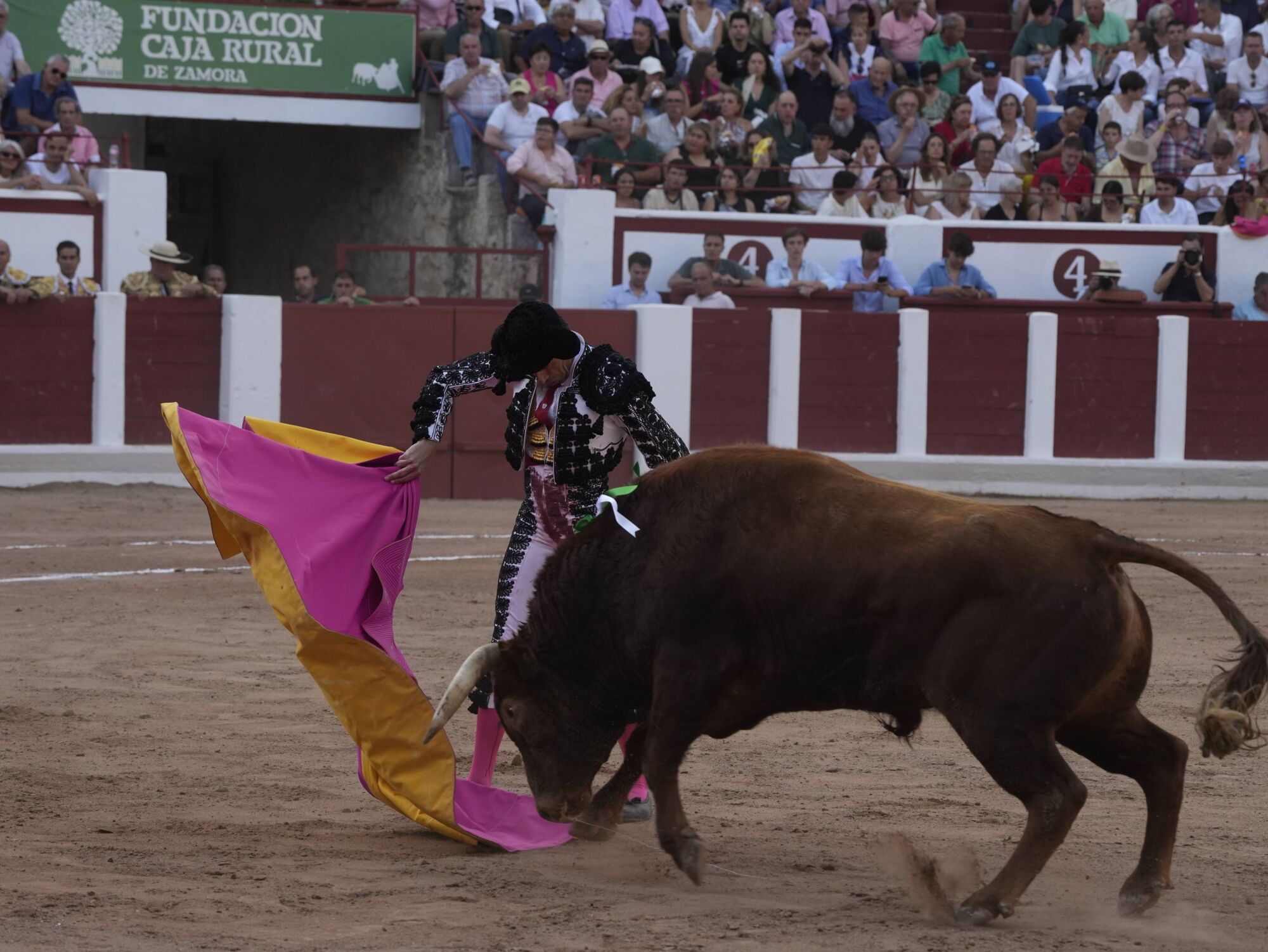 Las mejores imágenes de la feria taurina de San Pedro en Zamora.