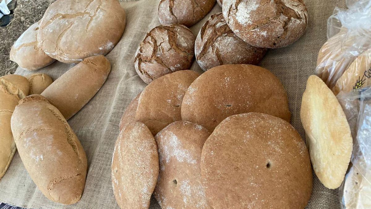 Muestra de los panes, antes de cortarlos para la degustación. | M. C. MOLINA