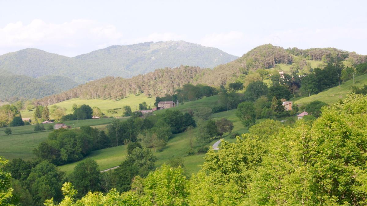 Una zona de Sant Pau de Segúries amb alguns masos i bosc.