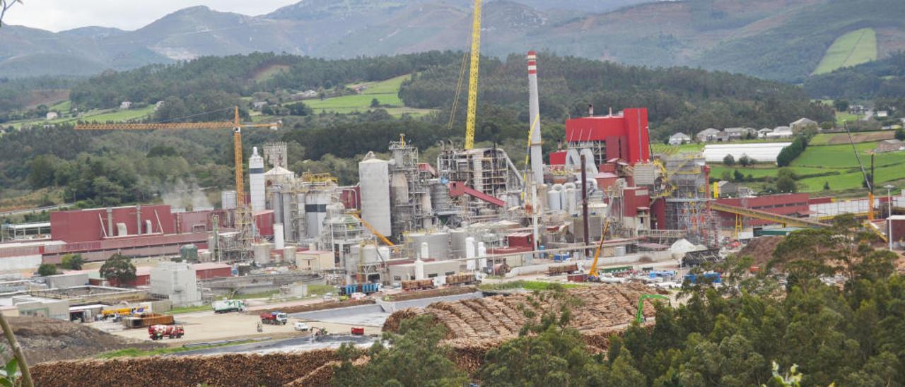 Obras de ampliación de la factoria de Ence en Navia, el año pasado.