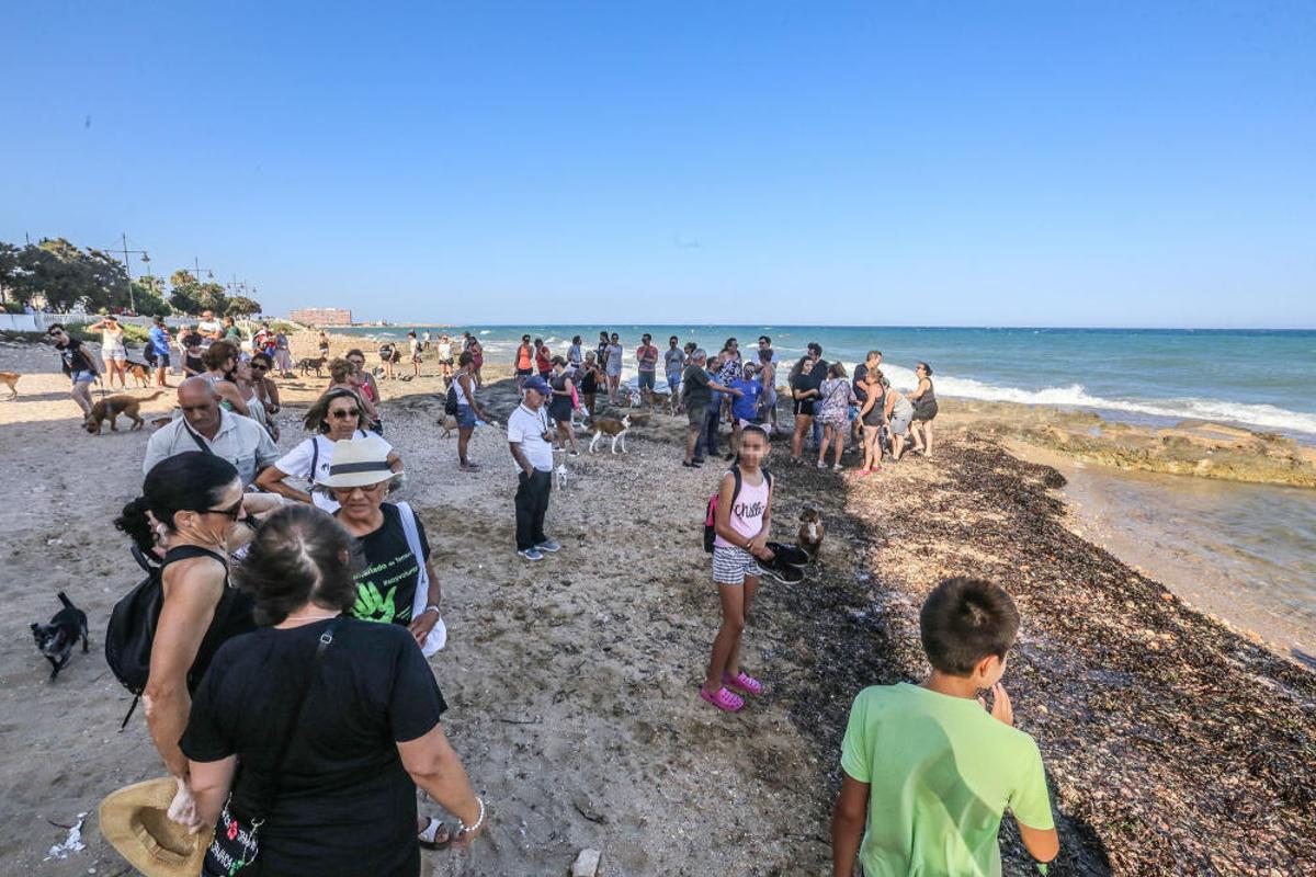 Docenas de usuarios de las playas acompañados de sus perros acudieron a Punta Margallo a pedir respeto y civismo en estos tramos litorales tras los "actos de sabotaje" de las señalizaciones