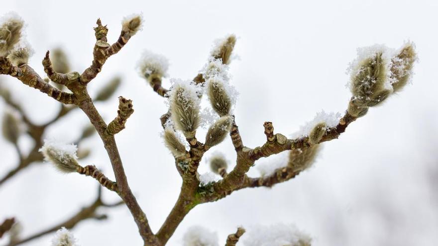 A Veiga registra la mínima de Galicia, con -3,7º