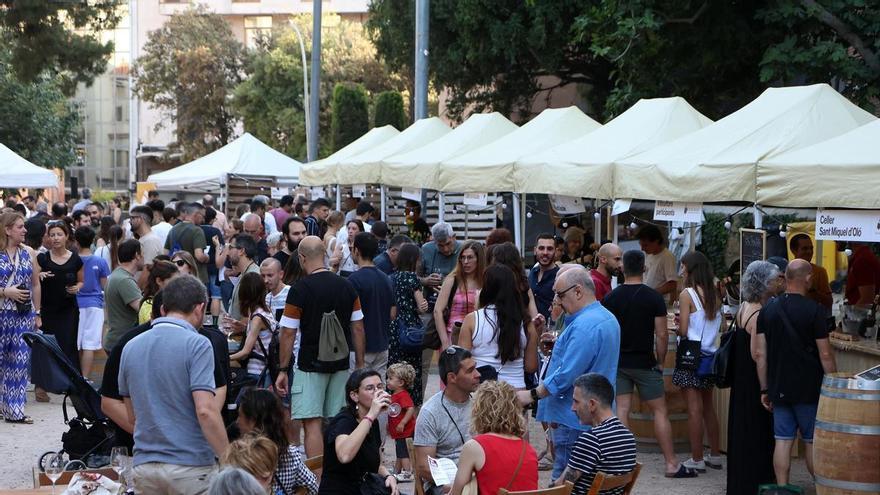 La 9a fira de vi del Bages, ViBa, amplia programació i torna als jardins de la Seu