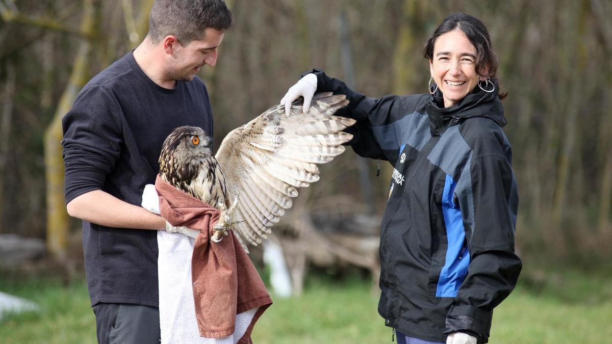 El Centre de Recuperació de Fauna dels Aiguamolls de l&#039;Empordà