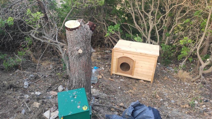La retirada de materiales en una colonia felina genera polémica en Cullera