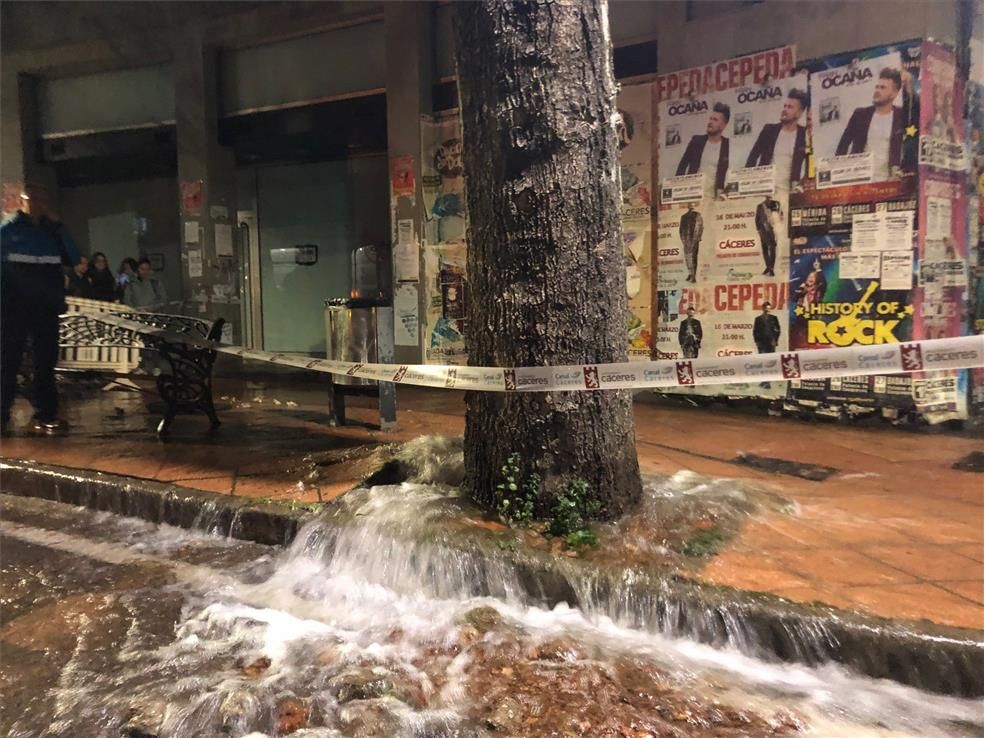 El lamentable estado de la zona de Colón en Cáceres