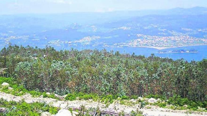 Una vista de los montes de Domaio en los que se situaría el parque eólico.  // FdV