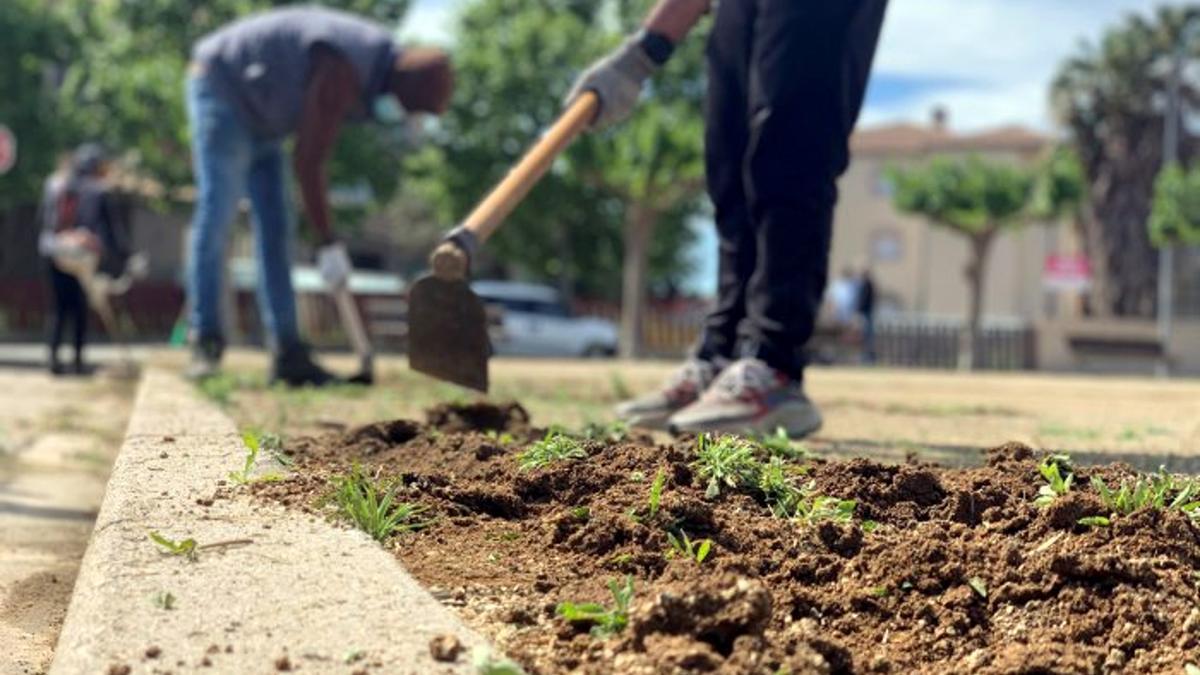 Treballs de deserbatge al nucli urbà de Castelló d&#039;Empúries.