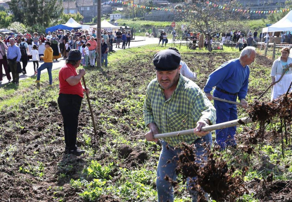 Celebración de la fiesta, el año pasado.