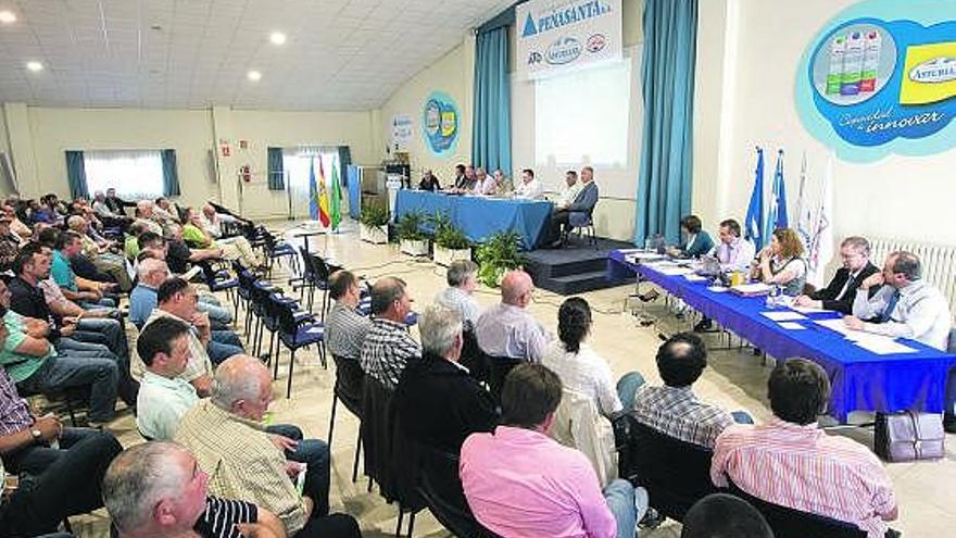 Asamblea celebrada ayer por los socios de Central Lechera Asturiana (Clas) en Granda, Siero.