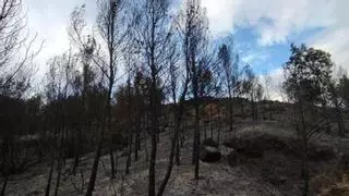 La sequía dispara el riesgo de incendio en invierno: dos fuegos en tres días en el Bages