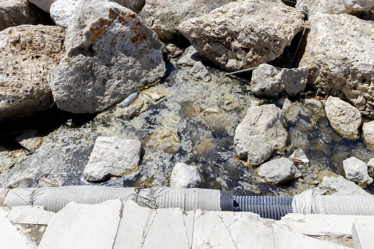El agua estancada y los malos olores vuelven a dividir la Albufereta tras las lluvias en Alicante