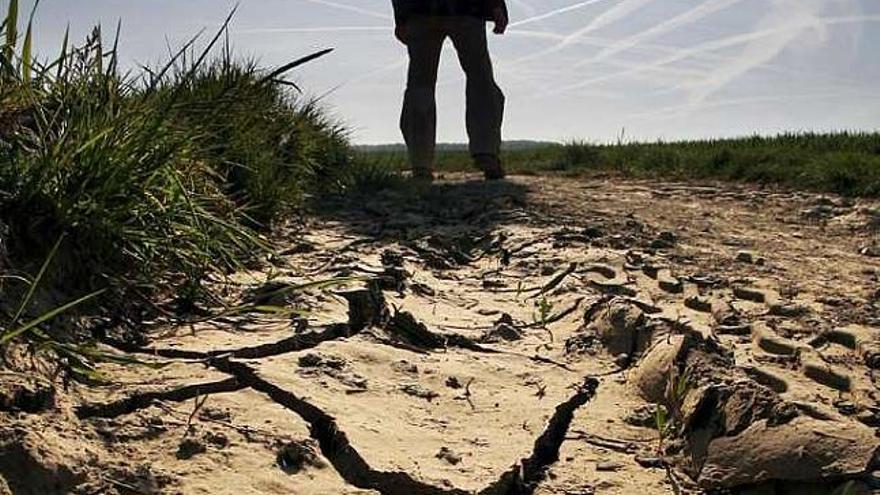 Suelo deteriorado en Alemania por efecto de las altas temperaturas.