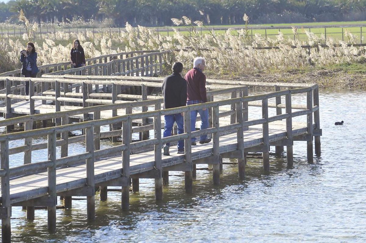 Senderismo en Alicante en la fase 2: las mejores rutas para disfrutar de la naturaleza en la provincia