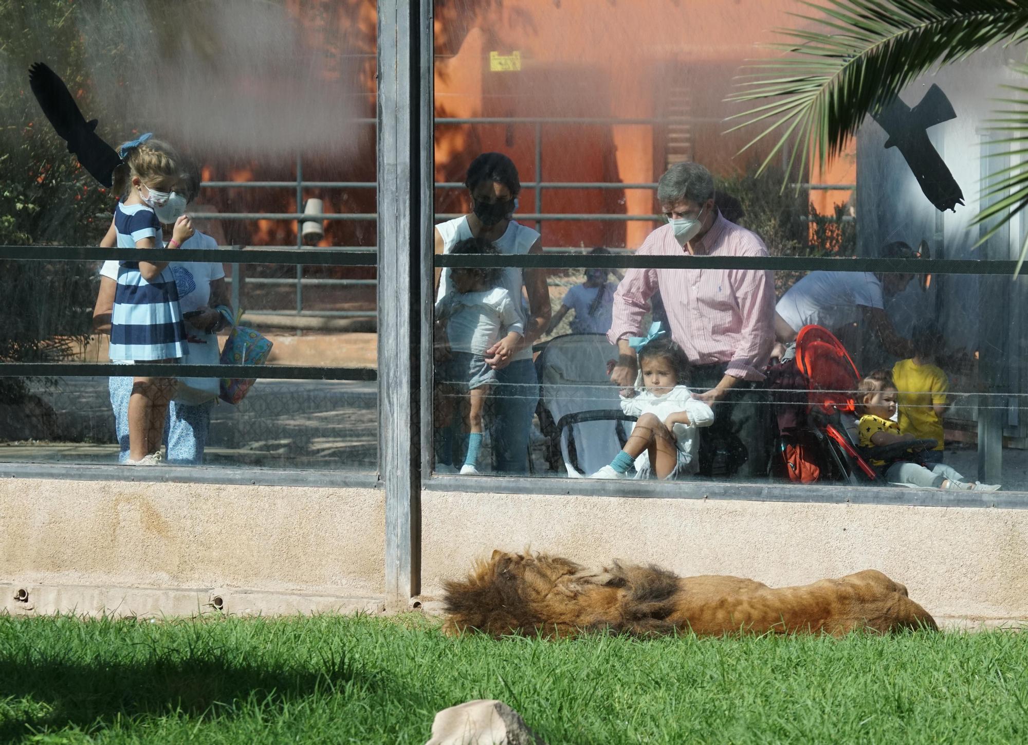 Día festivo en el Zoológico de Córdoba