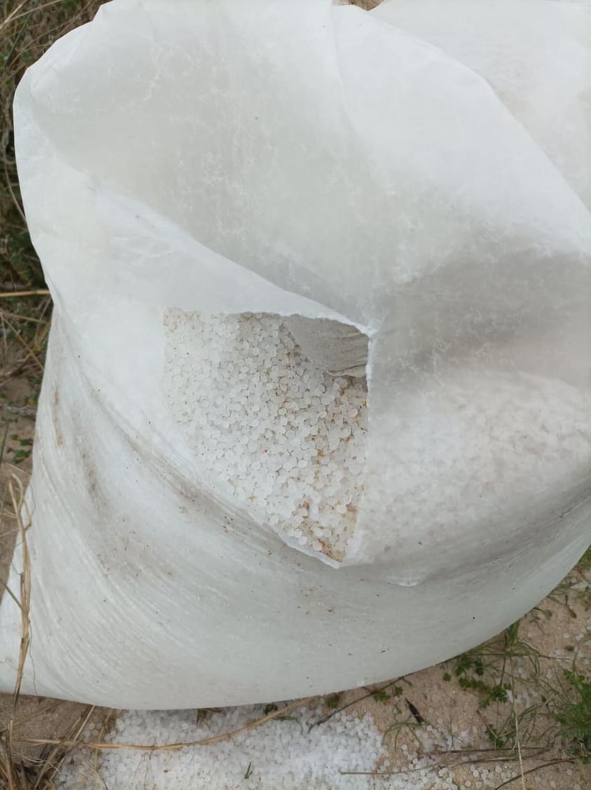 Miles de pellets de resina llegan a las playas de Barbanza, Noia y Muros