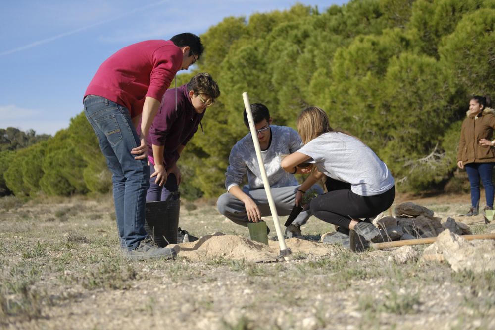 Plantación de especies autóctonas por parte de alumnos del IES Mare Nostrum en el parque natural de Torrevieja
