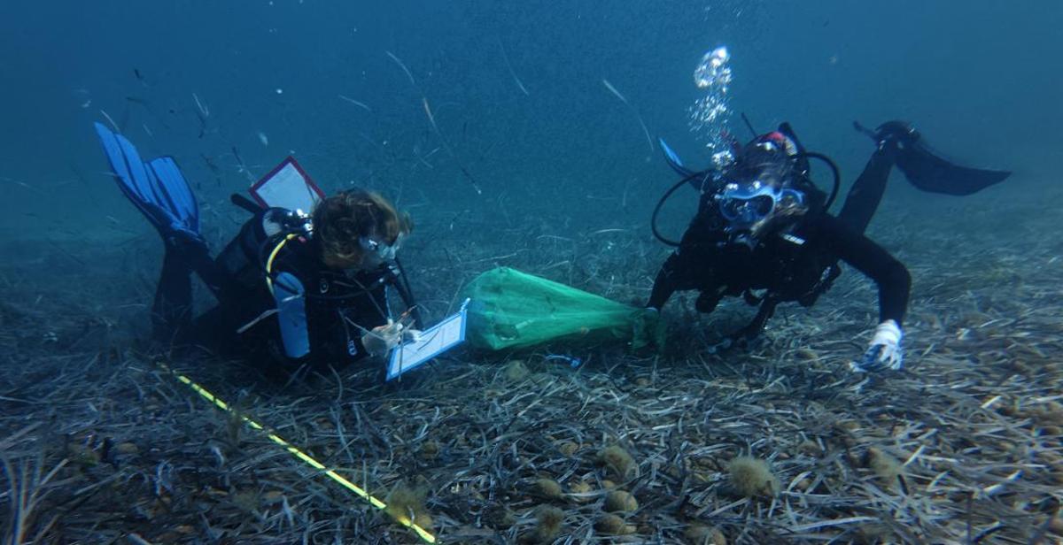 Dos buceadores recogen residuos en s'Espalmador, en Formentera.