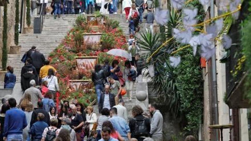 El turista és cada vegada més fidel a la mostra floral