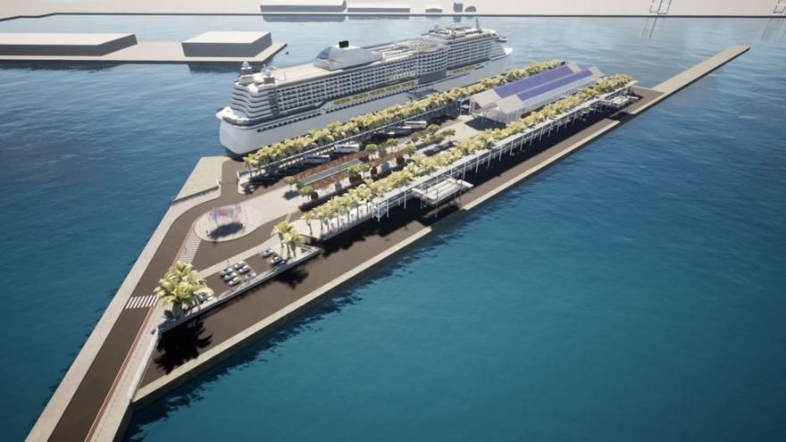El muelle de cruceros del Puerto de Las Palmas estará flanqueado por 136 palmeras cubanas