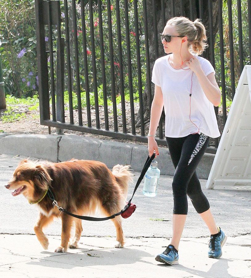 Amanda Seyfried con su perro