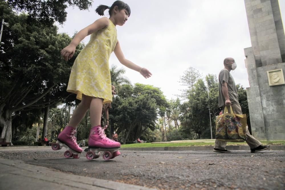 Paseos durante la celebración del Día de Canarias