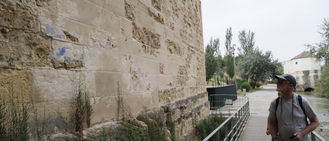 Imagen que muestra el deterioro de la Torre de la Calahorra.