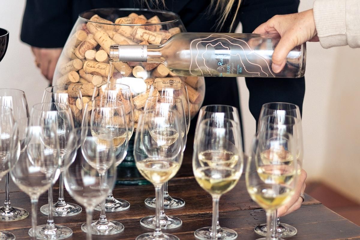 Las catas contribuyen a fomentar la cultura de los vinos de Ibiza y Formentera.