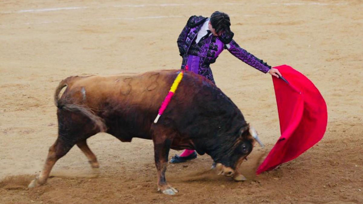 Una novilladad en la plaza de Villanueva del Campo