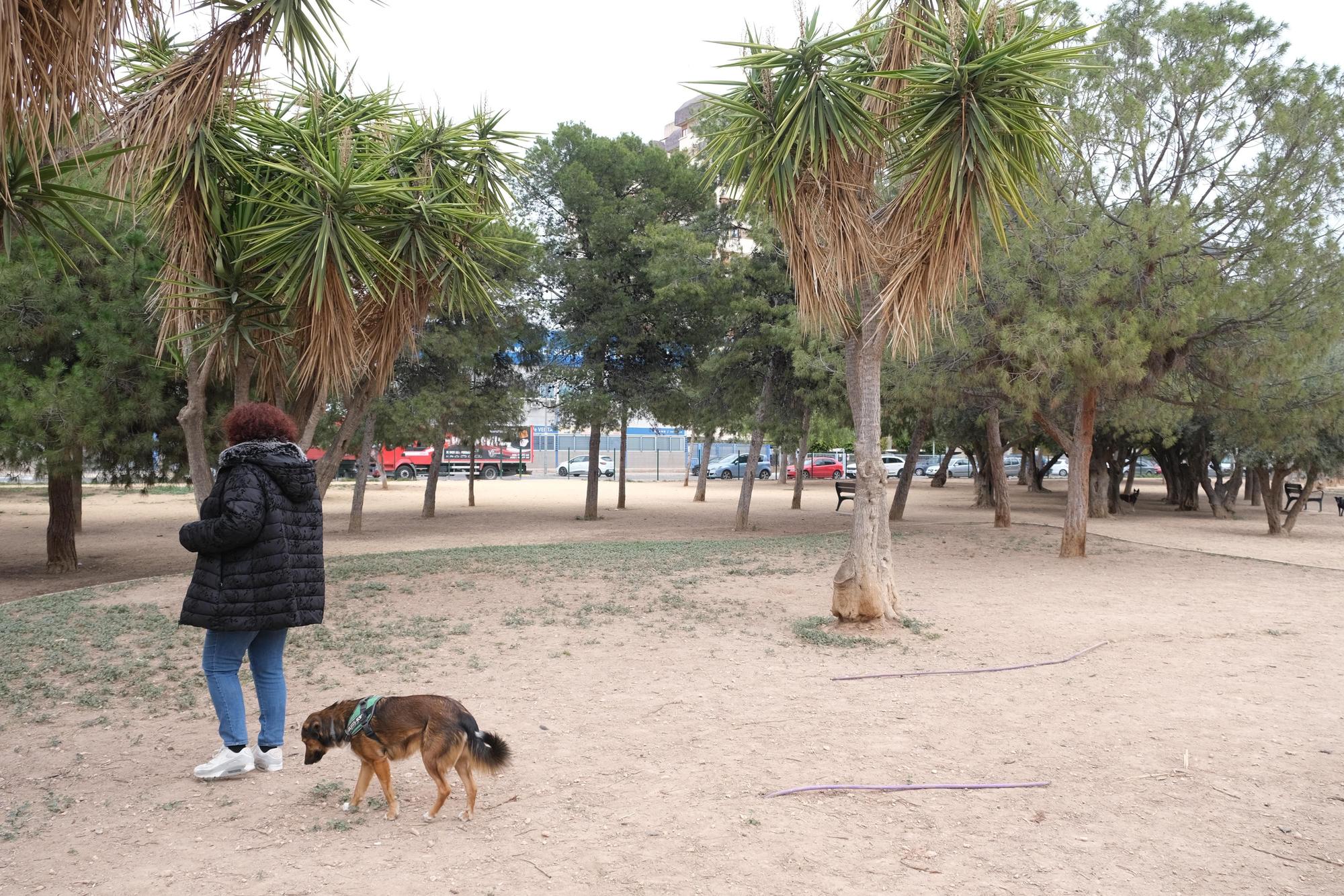 Quejas por el estado del parque canino de Babel en Alicante