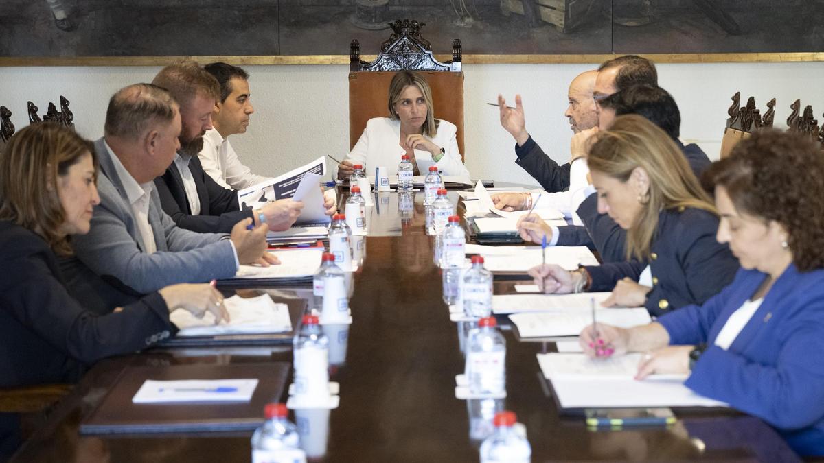 Momento de una Junta de Gobierno Provincial, encabezada por la presidenta, Marta Barrachina.