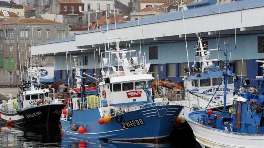 Flota amarrada en el puerto del Berbés, en Vigo.  // Ricardo Grobas