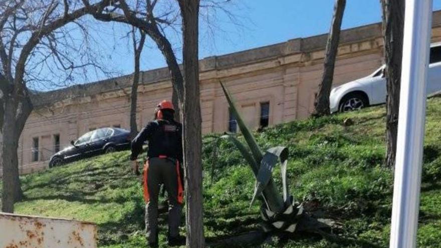 La brigada de Portbou arregla les zones enjardinades del poble