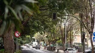 Santa Cruz de Tenerife solicita a la DGT un año para poder aplicar la nueva normativa de semáforos "sin poner en riesgo la seguridad de los ciudadanos"