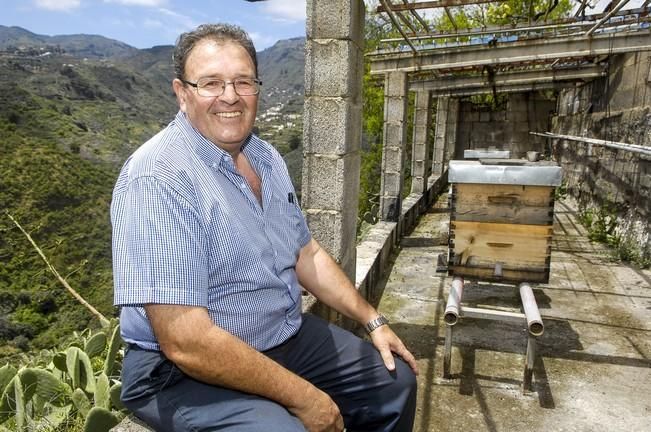 REPORTAJE BODEGA LA MONTAÑA