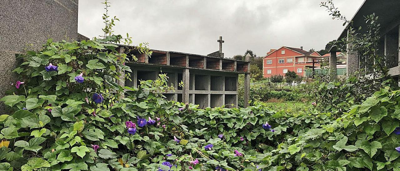 Anexo al cementerio de Coiro construido en una parcela privada y tomado por la maleza.   | // G.NÚÑEZ