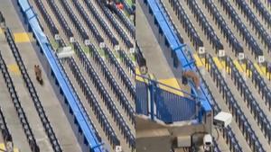 Un zorro se cuela en Stamford Bridge.