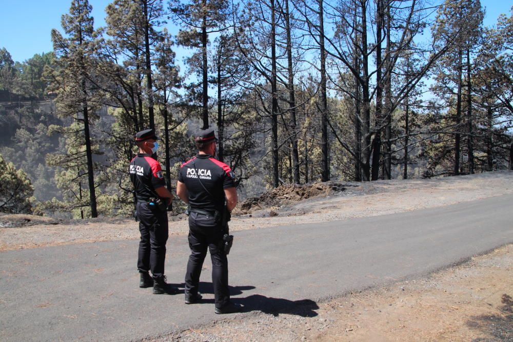 Incendio en Garafía | Domingo