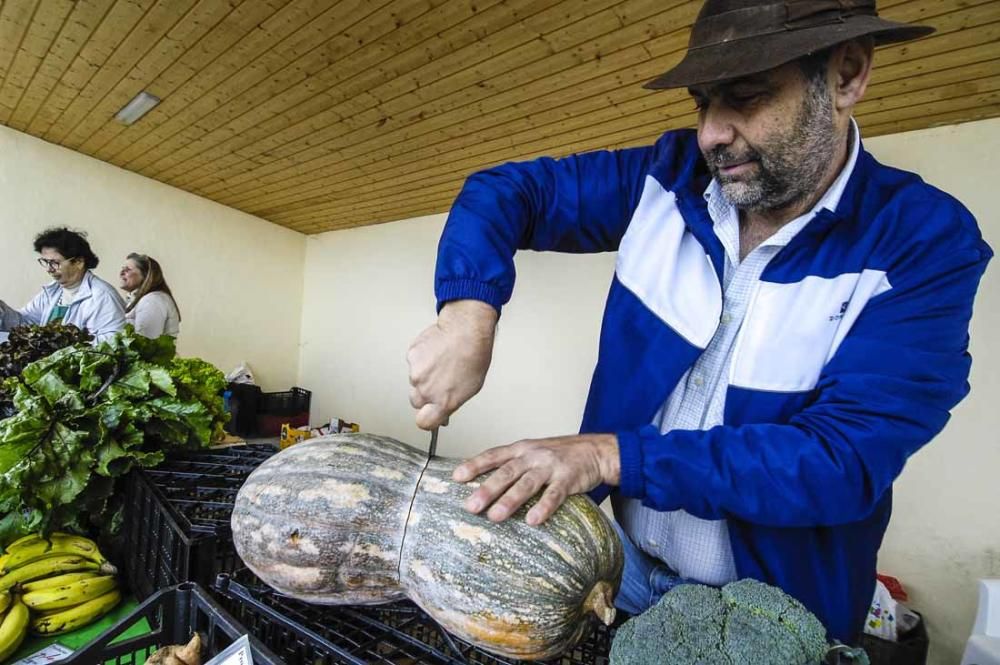 Mercado de berros a 1 euro en Ingenio